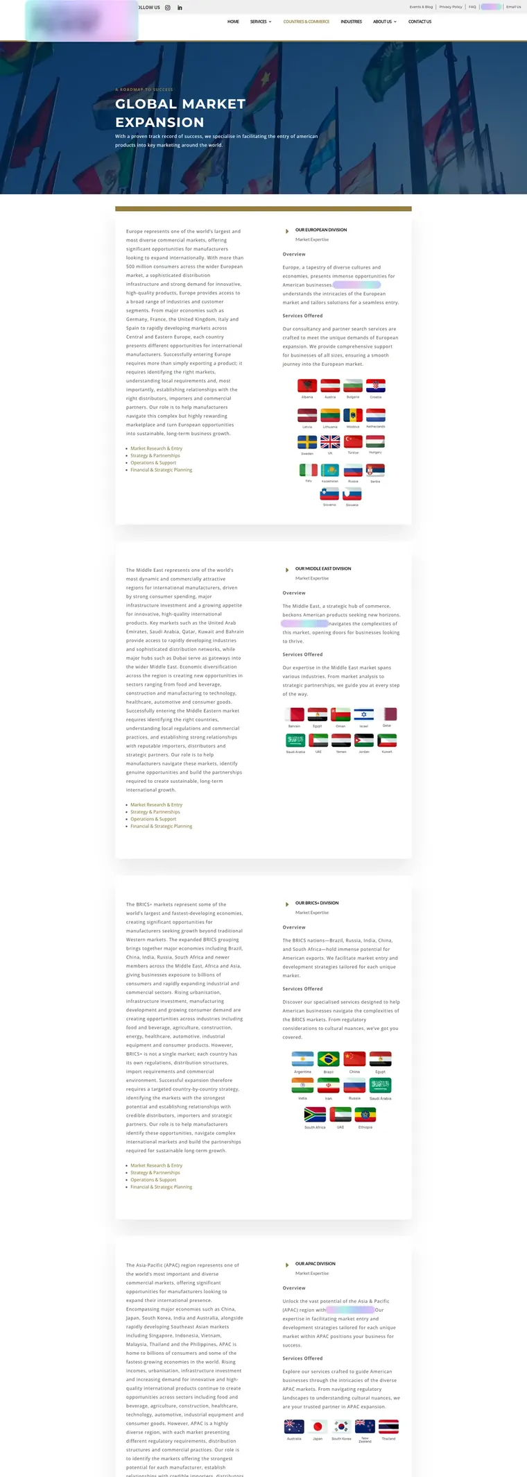 Pages from the advisory website: services, our story, home, countries and industries, with names, logos and contact details frosted over (page 4)
