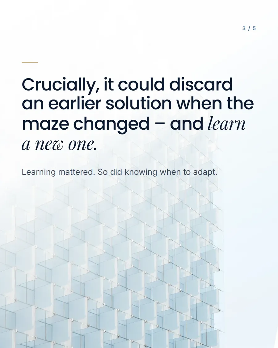 The Theseus philosophy carousel for Instagram and LinkedIn, five slides fanned out (page 4)